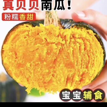广东湛江贝贝南瓜，粉糯香甜，基地直供，量大优惠全国发货