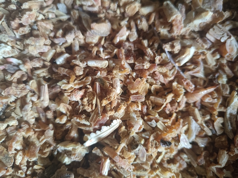 碎虾肉