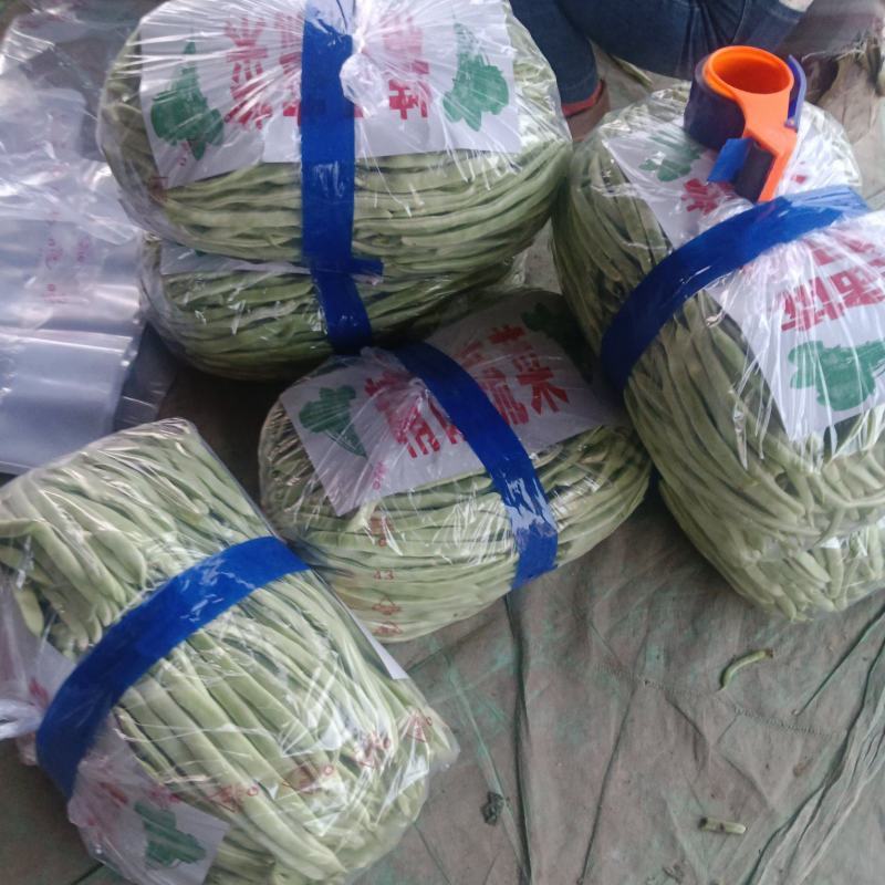 白豆，红豆，油豆，正在上市中需要的老板请在一亩田联系我