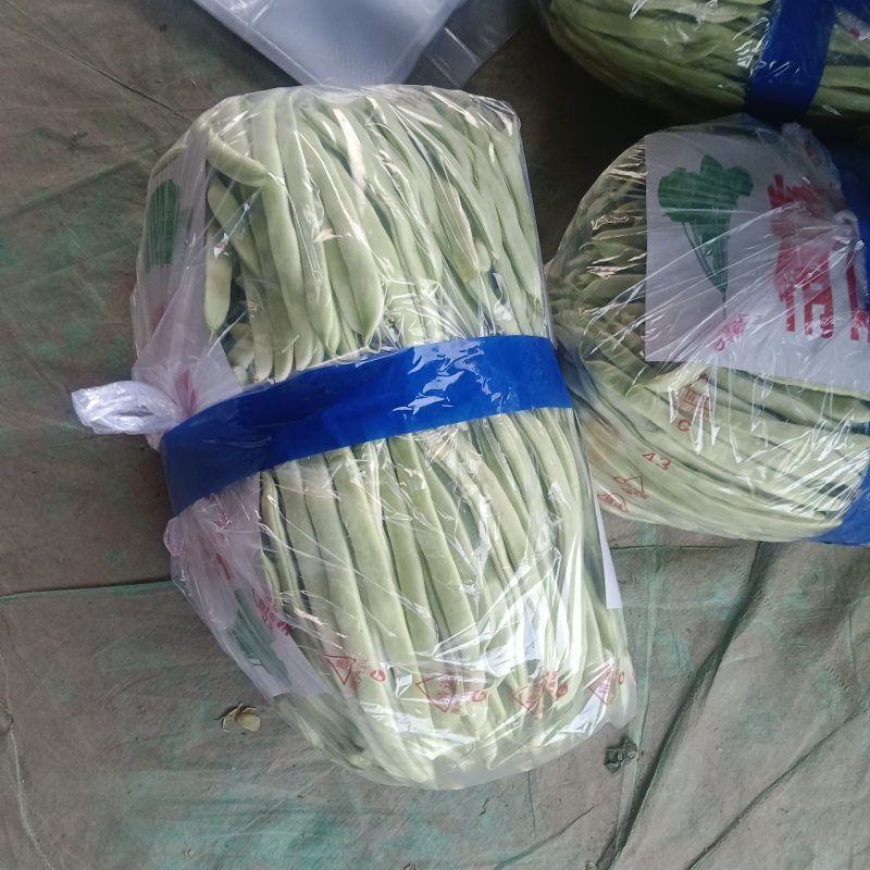 白豆，红豆，油豆，正在上市中需要的老板请在一亩田联系我