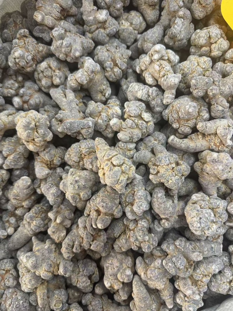 纯正三七产地货源免费打粉保质保量价格优惠