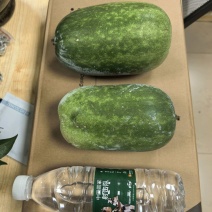 香芋节瓜带有芋香味节瓜