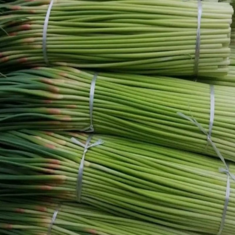 蒜苔精品