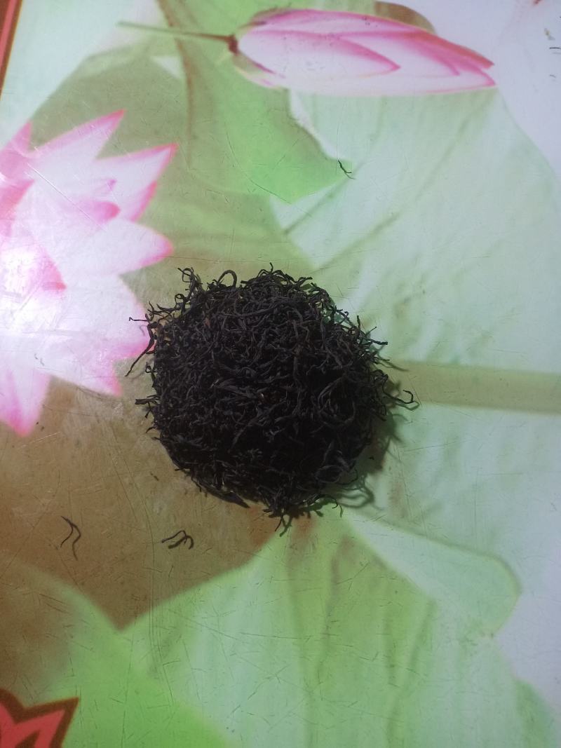 高山金牡丹茶叶
