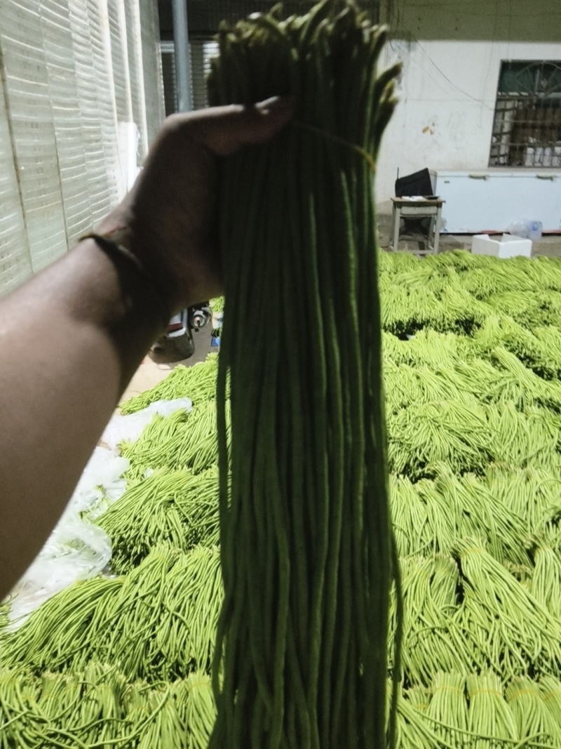 云南省红河州金平县豇豆诚信代办