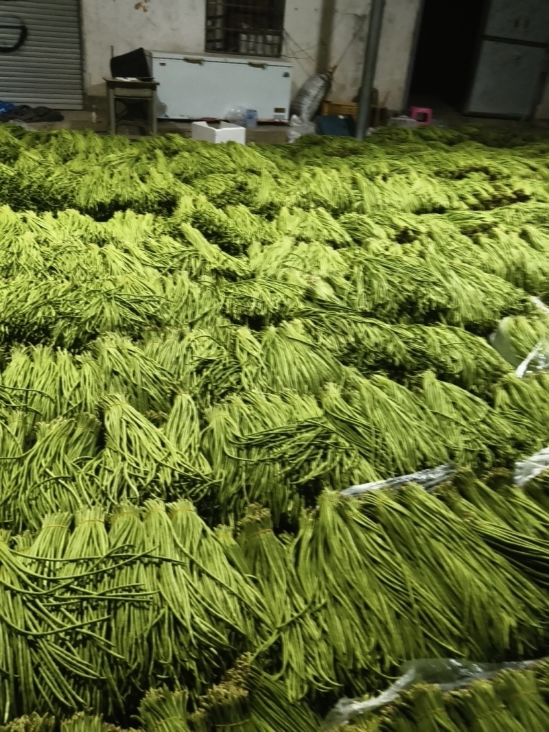 云南省红河州金平县豇豆诚信代办