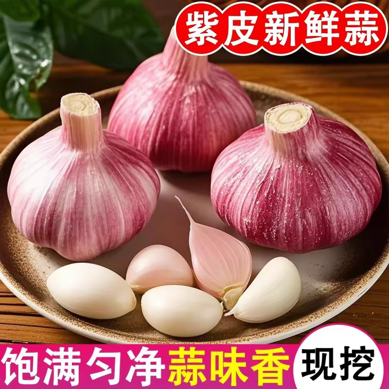 紫皮蒜大蒜头产地一手货源看货论价保质保量