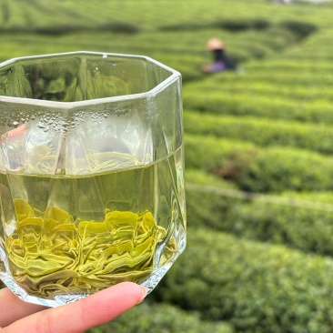 桂东玲珑茶