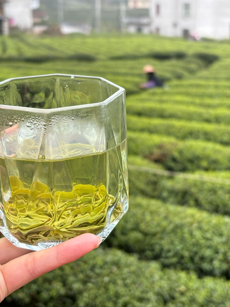 桂东玲珑茶