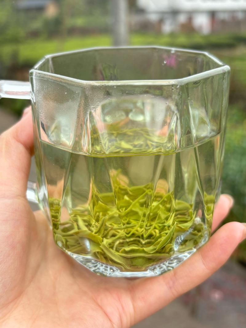 桂东玲珑茶