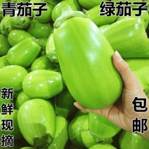 青茄子绿茄子产地一手货源保质保量支持打款发货