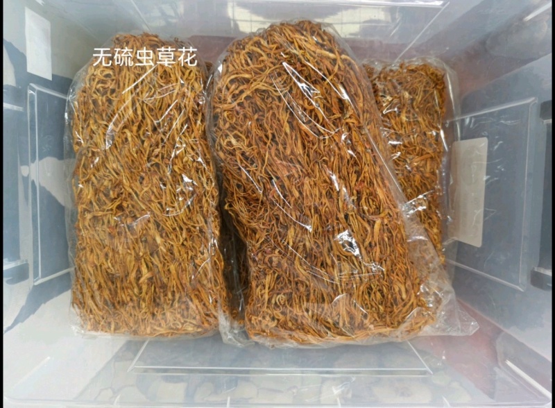 虫草花中条新货北虫草无硫两斤装热卖量大从优