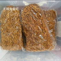 虫草花中条新货北虫草无硫两斤装热卖量大从优