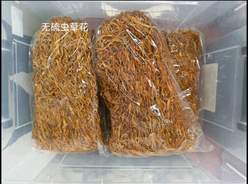 虫草花中条新货北虫草无硫两斤装热卖量大从优