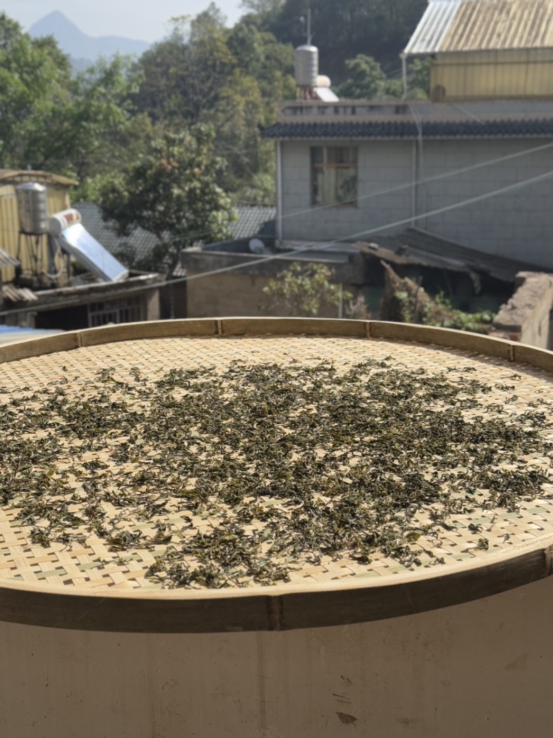 临沧忙肺古树茶