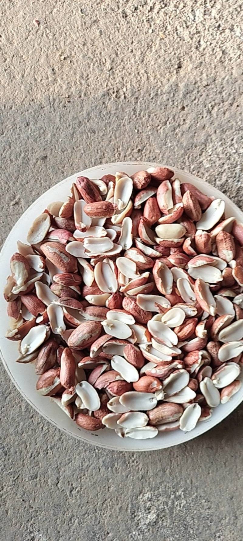 【精品】榨油米花生米合作社自产自销量大价优各种规格欢迎来