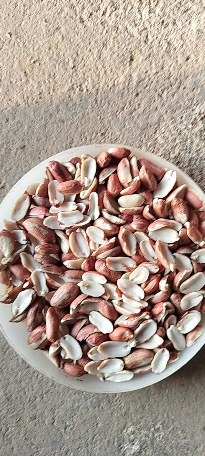【精品】榨油米花生米合作社自产自销量大价优各种规格欢迎来