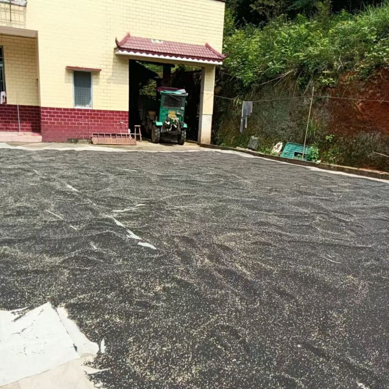 高品质菜籽油