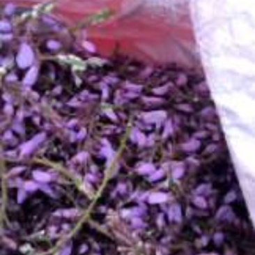 葛花