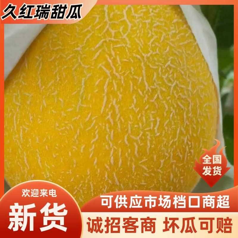 《久红瑞》甜瓜大量供应各大商超.市场.电商。