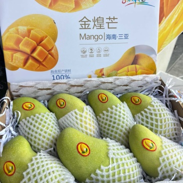 海南三亚金煌芒