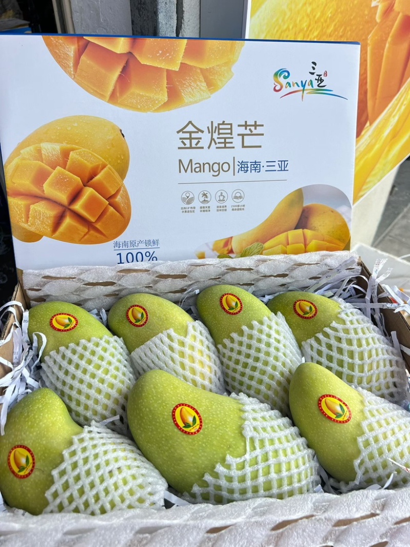 海南三亚金煌芒