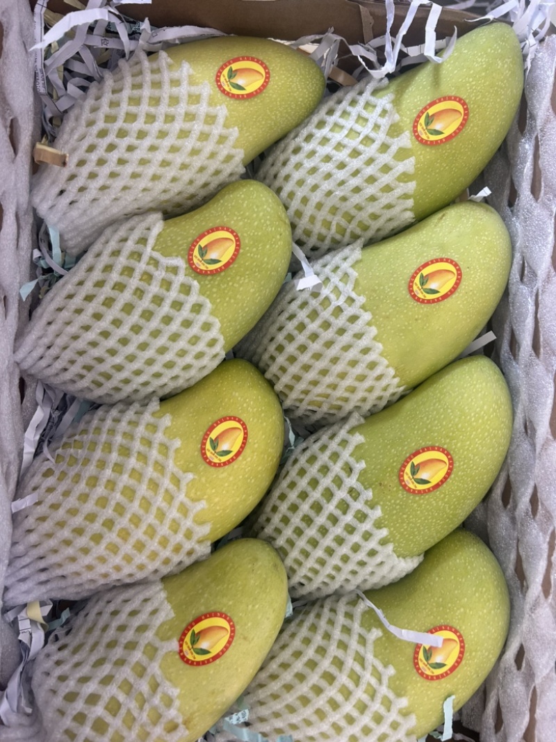海南三亚金煌芒