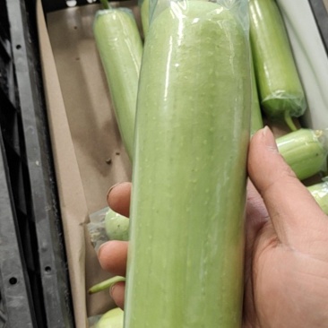 白玉丝瓜