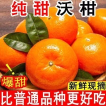 四川沃柑精品沃柑新鲜现摘现发大量有货产地直发