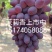 暖棚冷棚茉莉香（着色香）3月一6月大量上市