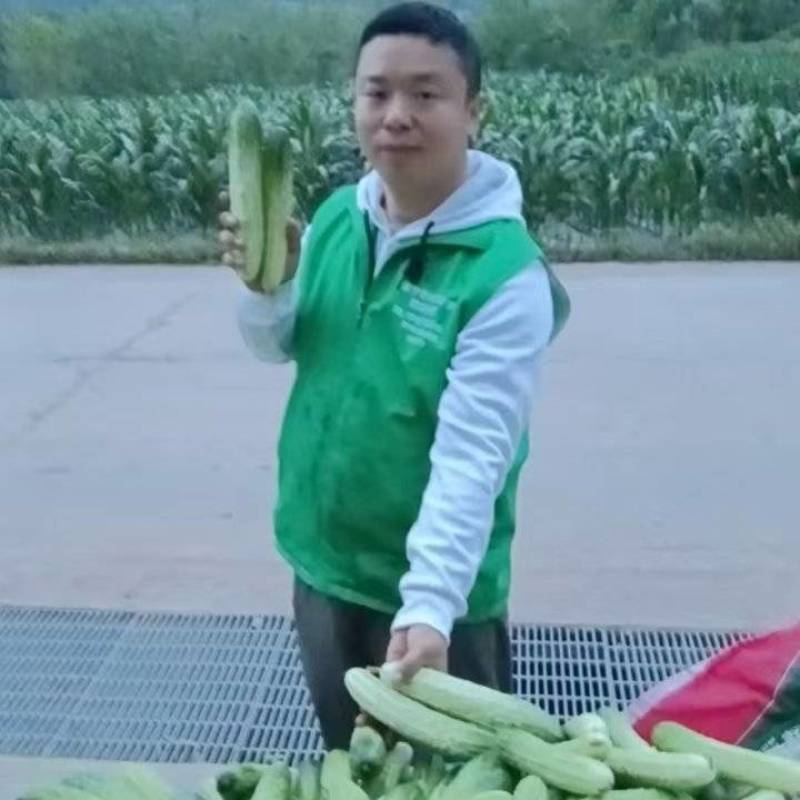 本地黄瓜***********
