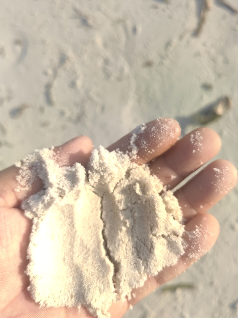 少盐纯虾皮粉赤尾青毛虾补钙食品级调料添加剂