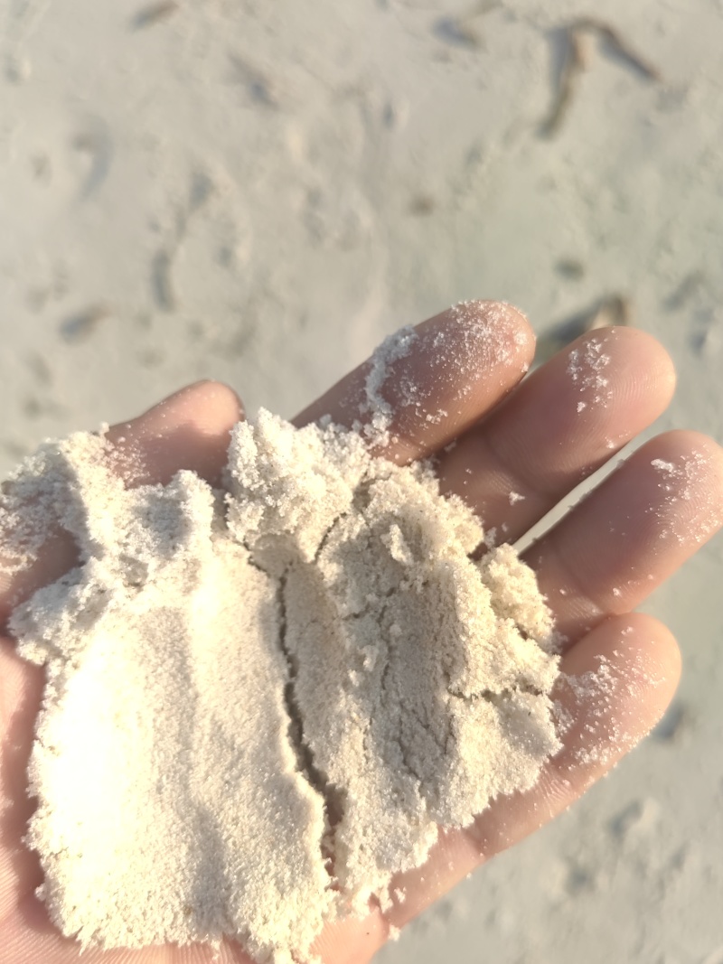 少盐纯虾皮粉赤尾青毛虾补钙食品级调料添加剂