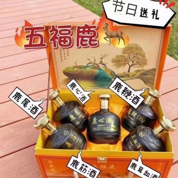 一手货源批发五福鹿鞭酒一箱五瓶，满10箱送一箱