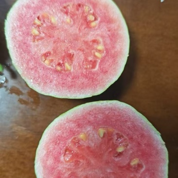 精品芭乐支持一件代发价格低源头产地