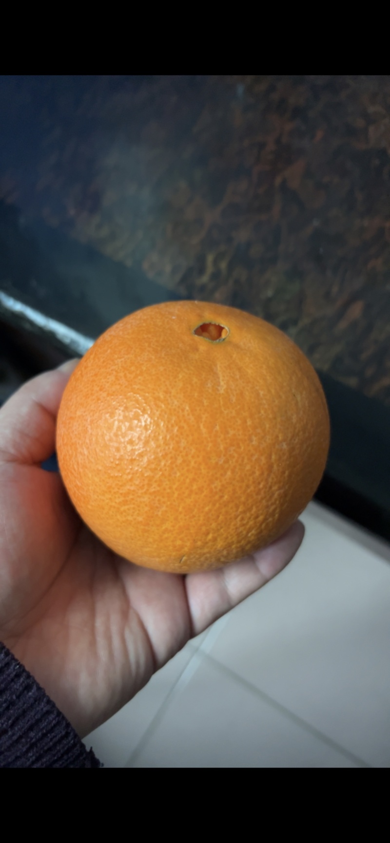伦晚大量有货欢迎各位老板前来品尝