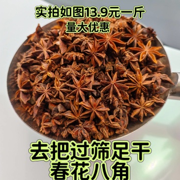 去把过筛大个头春花八角摘把春花八角足干量大更优惠