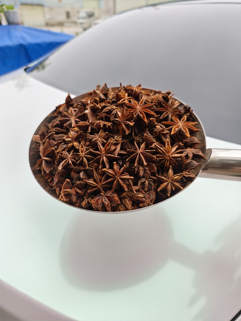 去把过筛大个头春花八角摘把春花八角足干量大更优惠