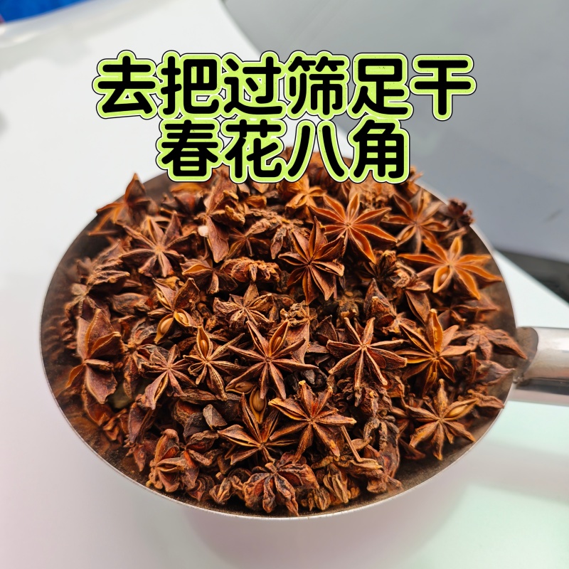 去把过筛大个头春花八角摘把春花八角足干量大更优惠
