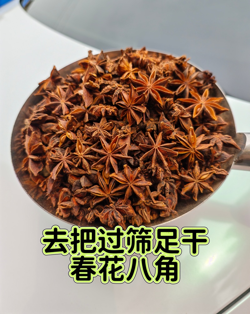 去把过筛大个头春花八角摘把春花八角足干量大更优惠