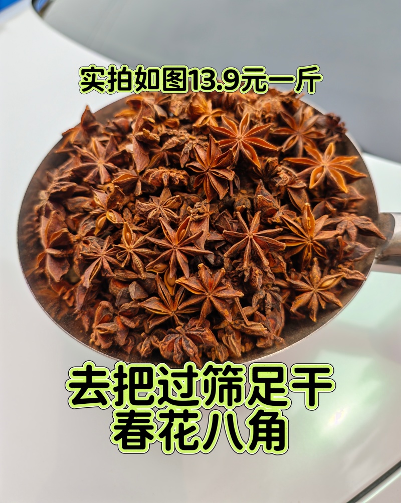 去把过筛大个头春花八角摘把春花八角足干量大更优惠
