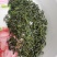 2026明前特级龙井43炒青绿茶栗香豆香味恩施富硒绿茶