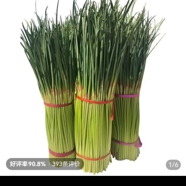 河南临颖精品红冒蒜苔