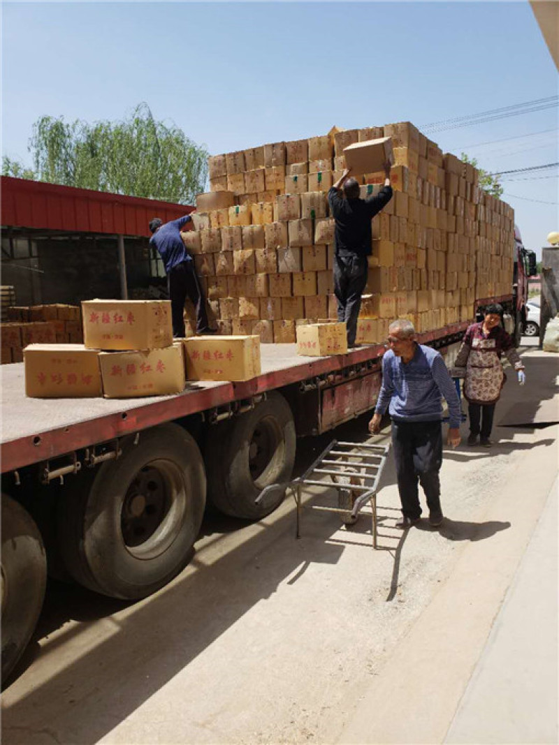 特产紫晶枣厂家直销一手货源质优价廉