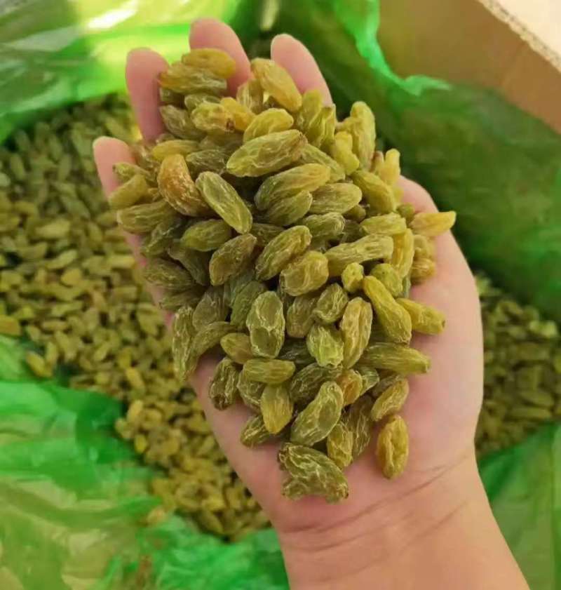 电商拼多多直播带货平台绿葡萄干厂家直供质优价廉