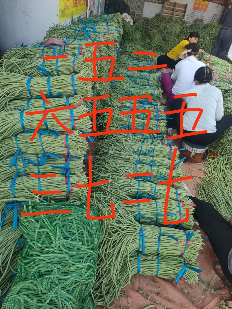 《图片加我威》青豆角大量上市不收客户费用，把你微留给我