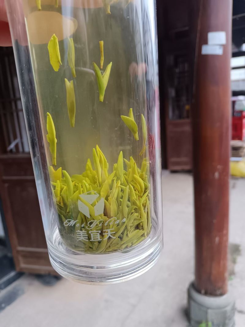 四川省雅安市芦山县海拔1200米高山无农残马牛山老川茶