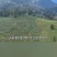 四川省雅安市芦山县海拔1200米高山无农残马牛山老川茶
