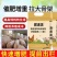 断奶小猪，育肥猪快速催肥拉骨架一头猪多赚300元