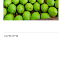早酥梨
